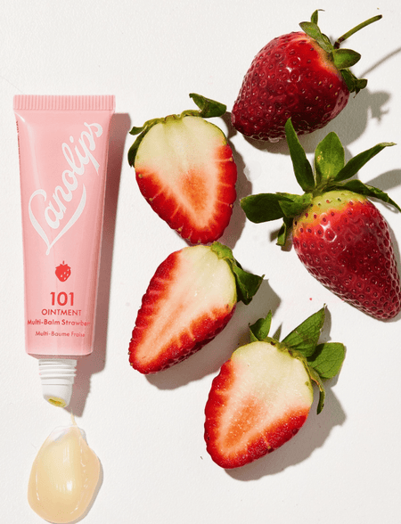 Lanolips 101 Ointment Multi-Balm Accessories Parts and Labour Hood River Oregon Clothing Store