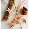 Maison Louis Marie No.04 Bois De Balincourt Diffuser Apothecary Parts and Labour Hood River Oregon Clothing Store