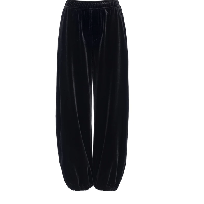 Sanctuary Velvet Micro Balloon Pant Bottoms Parts and Labour Hood River Oregon Clothing Store