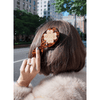 Solar Eclipse Lucky Clover Handbag Hero Brush Accessories Parts and Labour Hood River Oregon Clothing Store