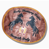 Solar Eclipse Lucky Mustang Rodeo Lay Down Claw Clip Accessories Parts and Labour Hood River Oregon Clothing Store